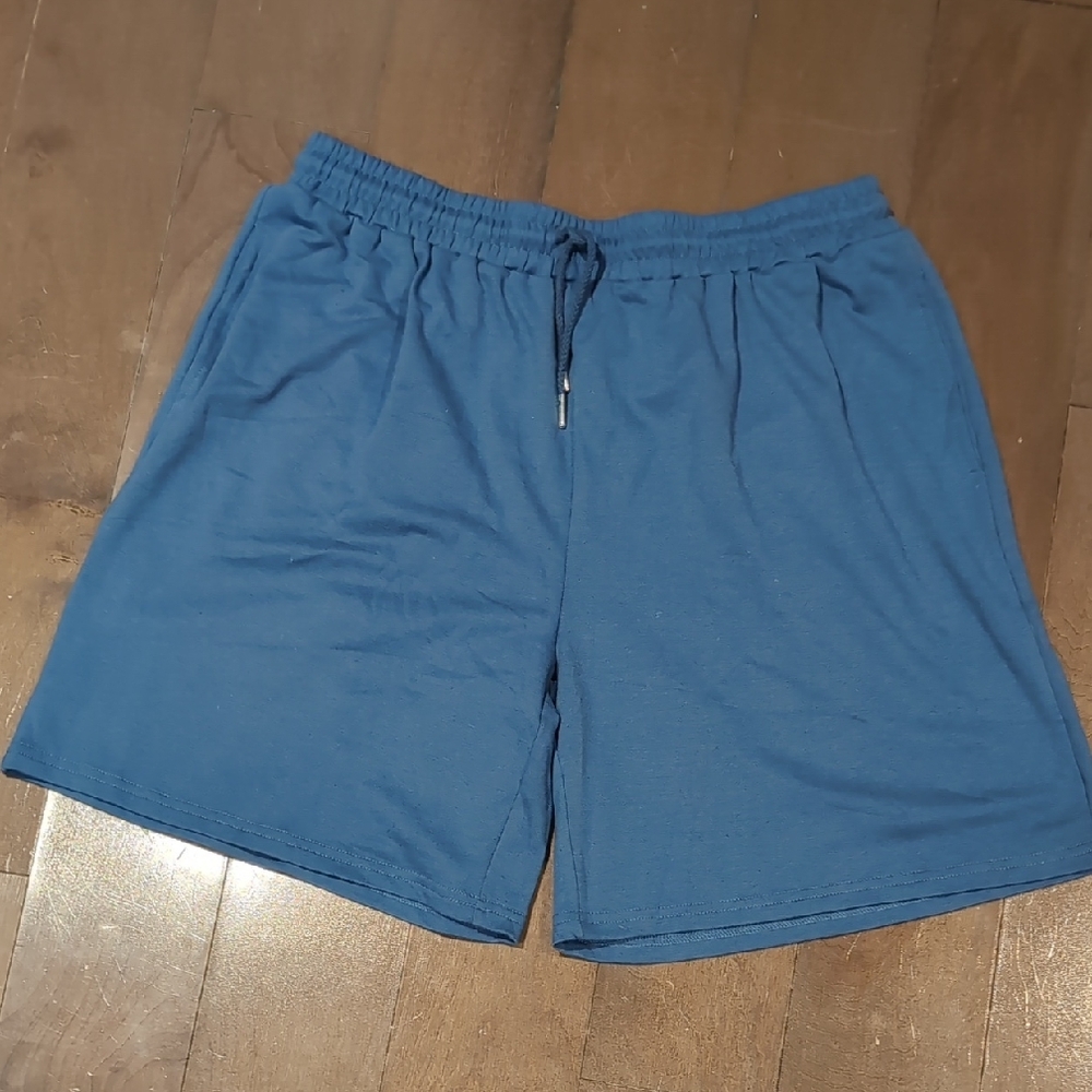 NEW Blue Casual Shorts